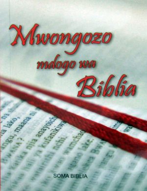 MWONGOZO MDOGO WA BIBLIA