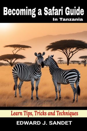 Becoming a successful safari guide in Tanzania